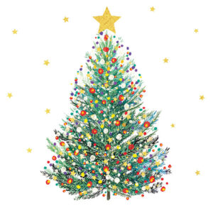 Christmas Cards- Bright Fir Tree
