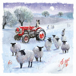 Christmas Cards- On the Farm