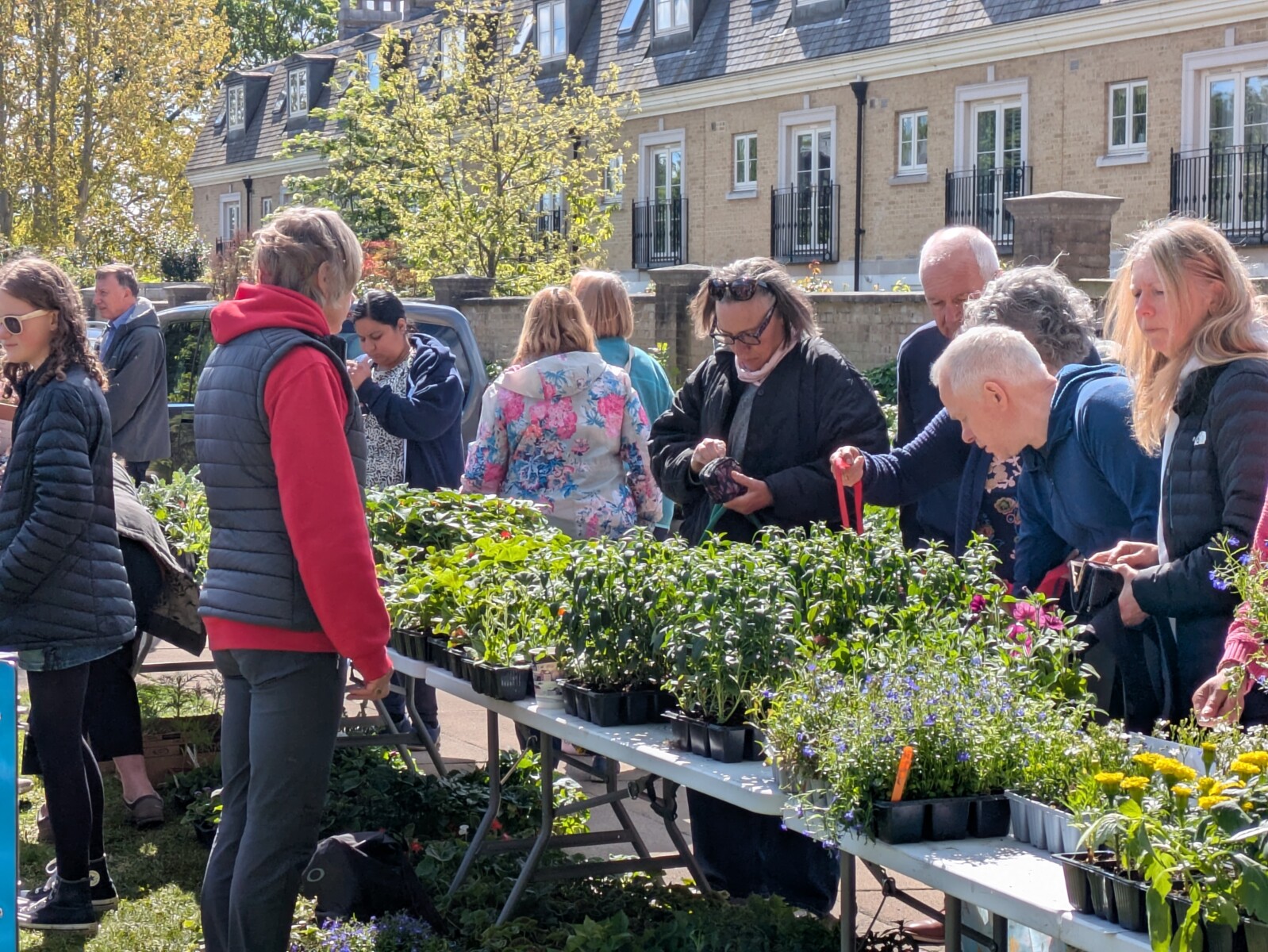 Plant Sale raises a record-breaking £10,000