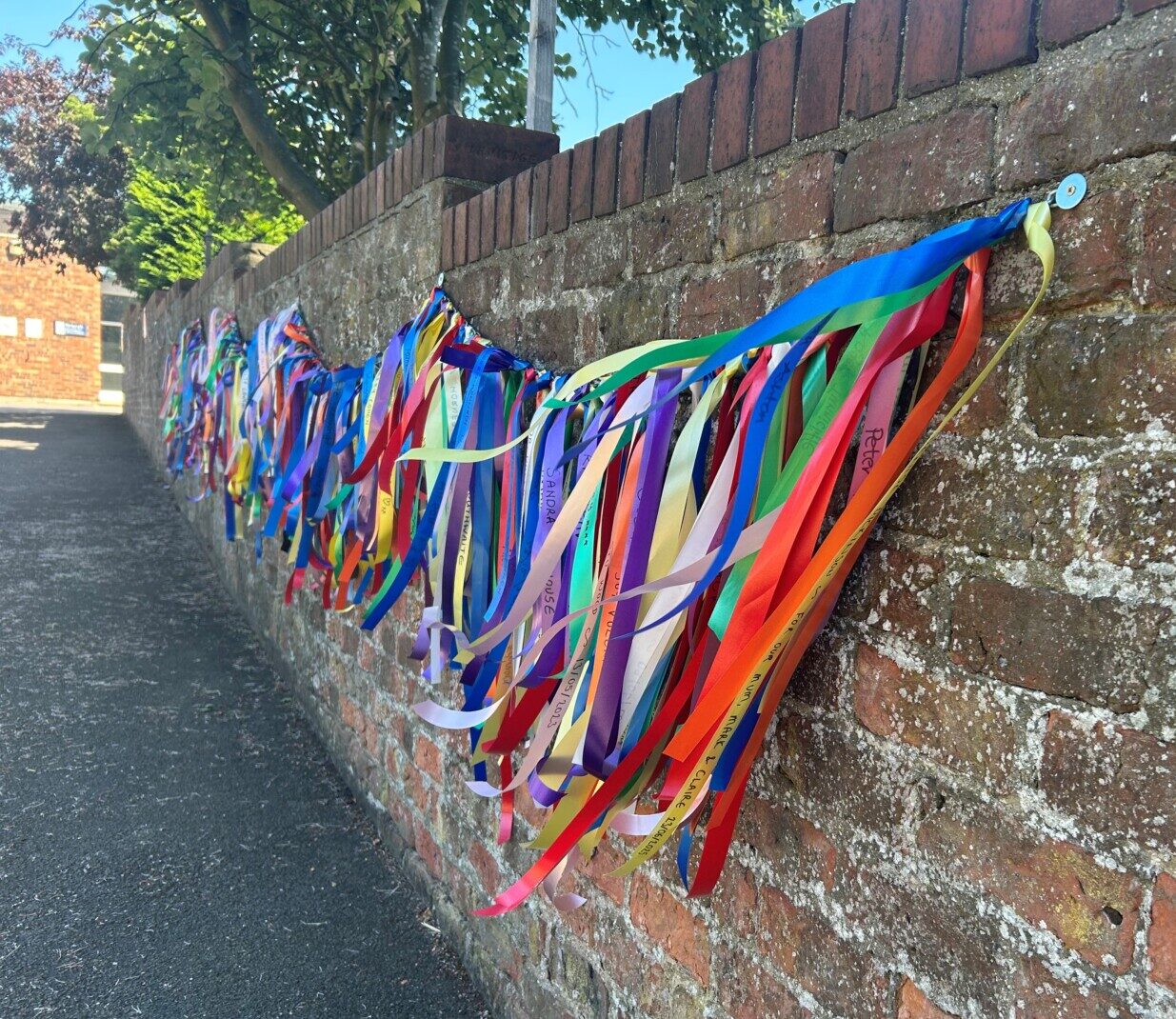 Rainbow of Ribbons displays brighten up community